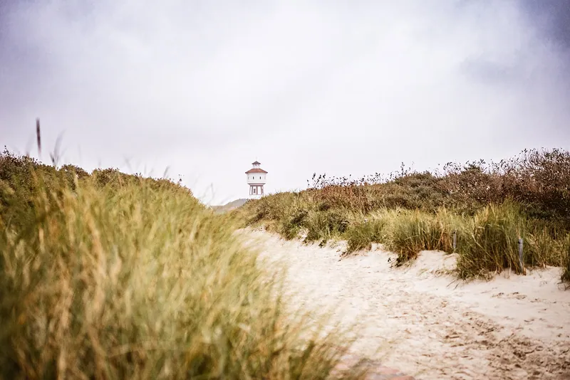 Weg durch die Dünen zum Wasserturm